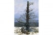 Art print Friedrich, The Oak Tree in the Snow