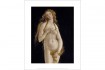 Miniprint Botticelli, Venus