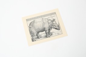 Miniprint Dürer: Rhinoceros