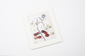 Miniprint in Passepartout: Flegel, Spanische Schwertlilie