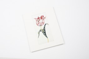 Miniprint in Passepartout: Braun, Tulpe