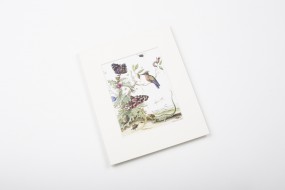 Miniprint in Passepartout: Quina der Jüngere, Insekten