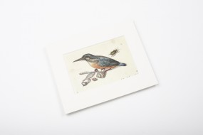 Miniprint in Passepartout: Flegel, Stilleben mit Eisvogel